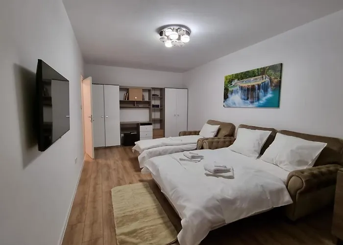 Casa Ta La Munte 公寓 *