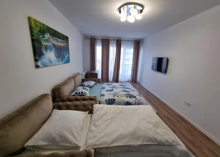 Casa Ta La Munte 公寓 *