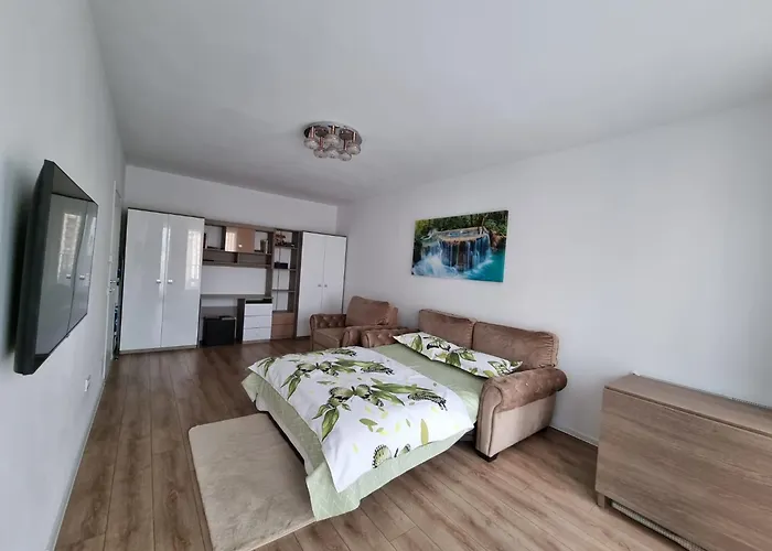 公寓 Casa Ta La Munte