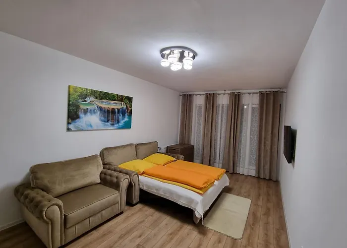 Casa Ta La Munte 公寓 布拉索夫