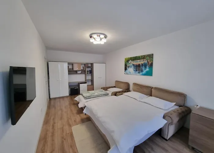 Casa Ta La Munte 公寓