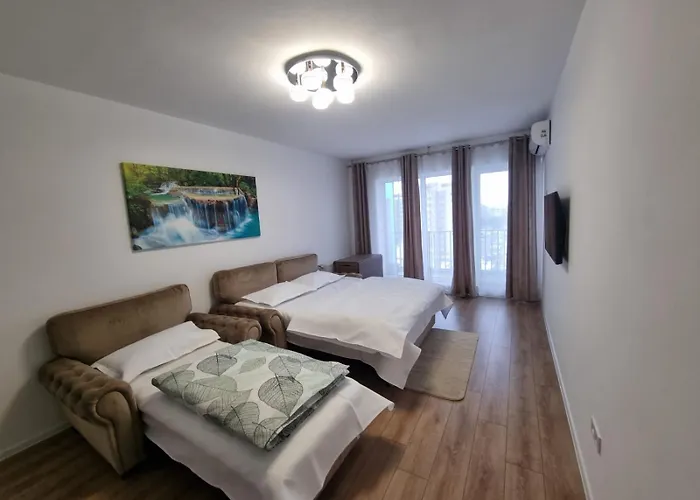 Casa Ta La Munte 公寓 布拉索夫